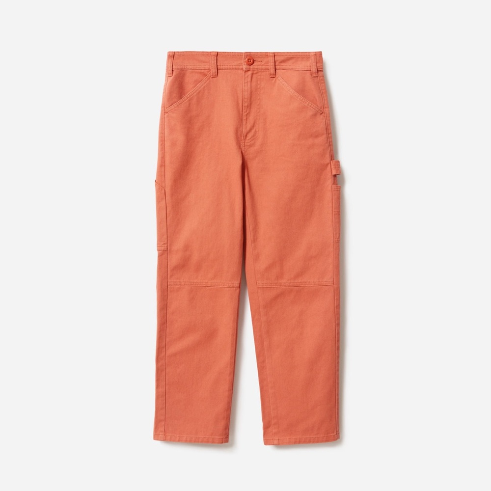 Everlane Carpenter Pant in Spanish Clay Size 8